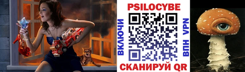 kraken зеркало  Рыбинск  Галлюциногенные грибы Psilocybine cubensis 